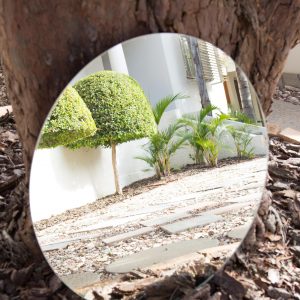 Mirrors